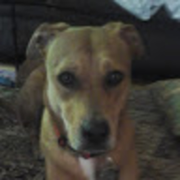 Meet your Posher, Liam - Picture 1 of 1